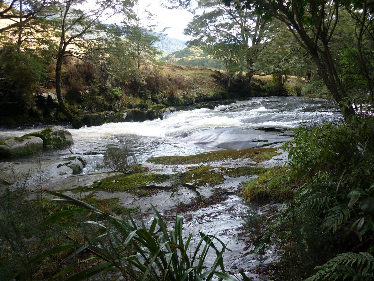 Owaka Lodge Motel Bagian luar foto